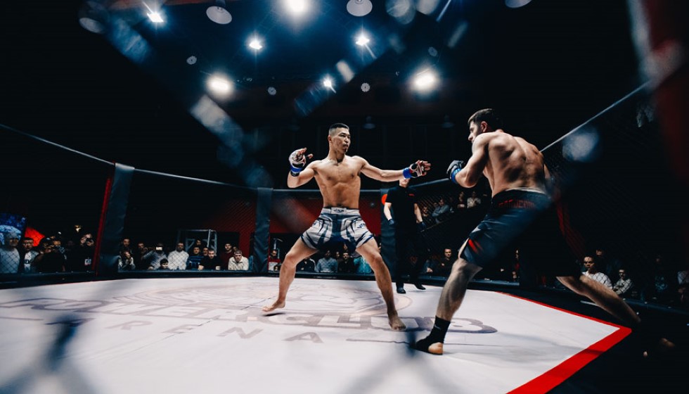 Rising Stars and Dominant Champions: A Look at UFC's Top Fighters